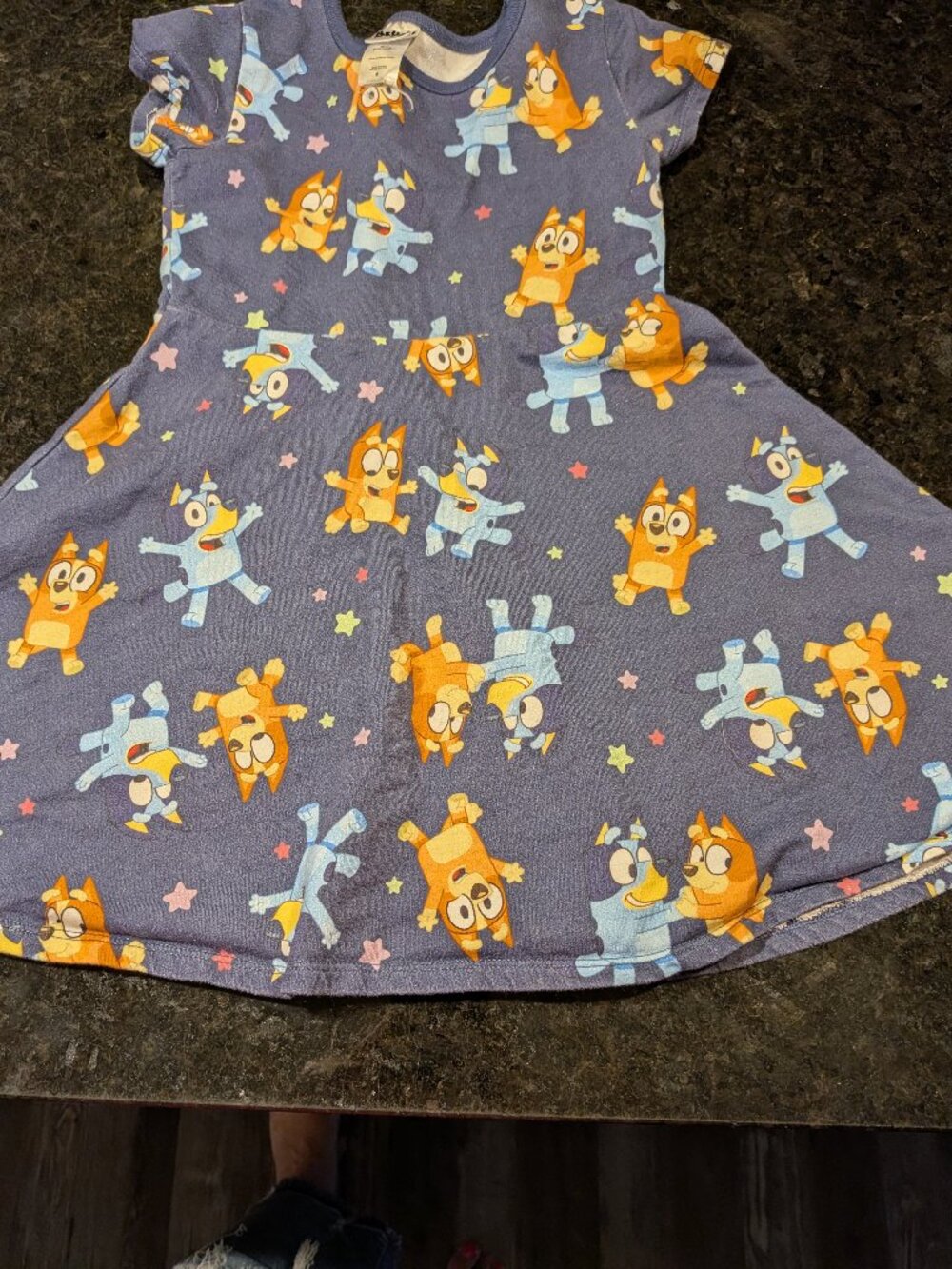 Bluey and Bingo Dress